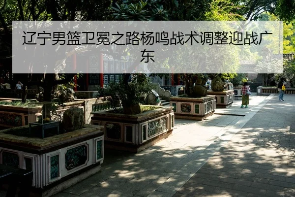 liao-ning-nan-lan-wei-mian-zhi-lu-yang-ming-zhan-shu-tiao-zheng-ying-zhan-guang-dong-3-889.jpg
