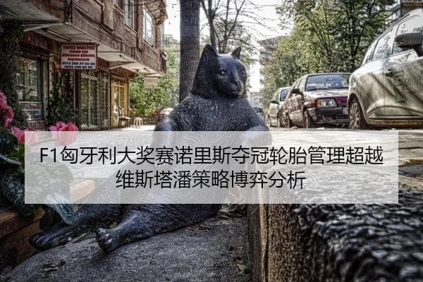 F1匈牙利大奖赛诺里斯夺冠轮胎管理超越维斯塔潘策略博弈分析