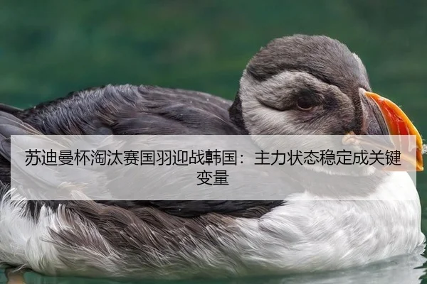 苏迪曼杯淘汰赛国羽迎战韩国：主力状态稳定成关键变量